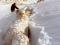 Sheep struggling in snow on Sawdon Station, Lake Tekapo, 1992