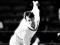 Richard Hadlee in full flight