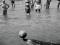 Opo the dolphin and admirers, Opononi, 1956