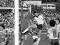 New Zealand versus Australia, 1981