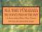 Title of book with letters set against a greenstone background