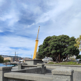 Yellow ships mast surrounded by concrete walls and large pohutukawa tree