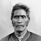 Wiremu Tāmihana Tarapīpipi Te Waharoa