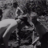Kayforce artillery training in New Zealand, 1950