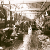 Processing sheep carcasses