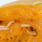 Mediterranean fruit fly