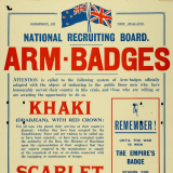 Arm badges showing enlistment status