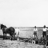 Tauherenikau training farm