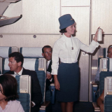 Aircraft disinsection