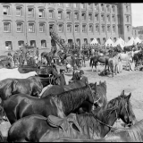 Alexandra Barracks & Drill Hall