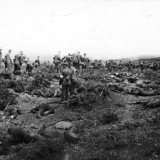 Gallipoli armistice
