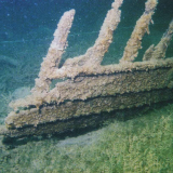 Armed Constabulary Boat