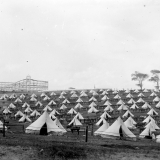 Mounted special constables' camp, Auckland Domain, 1913