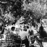 Takapuna beer garden