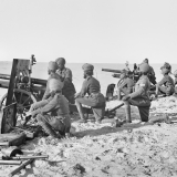 Camel artillery ready to fire