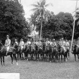Use of horses on Samoa 
