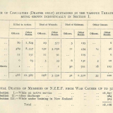 NZEF deaths by theatre of war, 1914-19