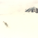 Dark smudge against a white snow with mountain in the background.