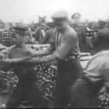 Film: fighting at the Somme and Messines