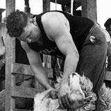 Godfrey Bowen