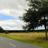 Harwarden Waikari memorial avenue