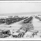 NZ horses and carts at Alexandria
