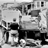 Film clip: moving to the Hutt Valley