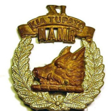 11th (North Auckland) Mounted Rifles squadron