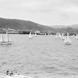 Wellington-Lyttelton yacht race tragedy