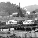 Waiuta town