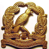 4th (Waikato) Mounted Rifles squadron