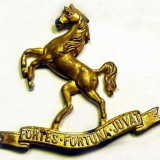 9th (Wellington East Coast) Mounted Rifles