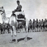 Ottoman Army cameliers