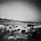 Artillery fire at El Alamein