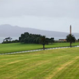 Reclaiming Bastion Point - roadside stories