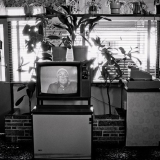 Peter Black Levin