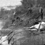 Dead horses by the River Jordan