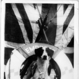 Borax, the mascot