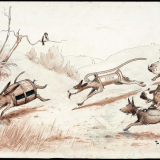 Brewer rabbit cartoon