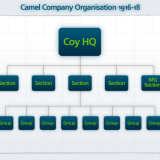 Camel Company Organisation Aug 1916 - Jun 1918