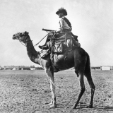 Australian camelier 1916
