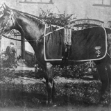 Carbine and the 1890 Melbourne Cup