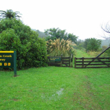 Chasm Creek walkway