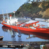 The <em>Columbus New Zealand</em>