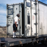 Quarantine officer checking container