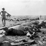 Turkish air raid on 3rd Camel Battalion at Sheikh Nuran