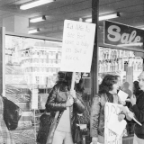Domestic Purposes Benefit protest