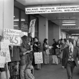 Domestic Purposes Benefit demonstration