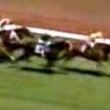 Empire Rose wins the 1988 Melbourne Cup