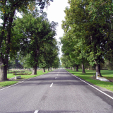 Fairlie Peace Avenue
